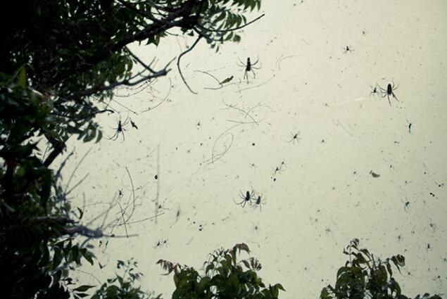 天上除了下雨 还能下什么