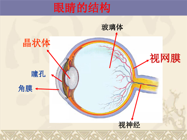 盲人会看到什么？完全黑暗 还是一片虚无